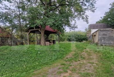 Teren intravilan 7.9 ha. Sandra - 16