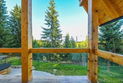 Pensiune de lux, 8 dormitoare D+P+M+P, teren 2200 mp, Statiunea Muntele Baisorii - 33