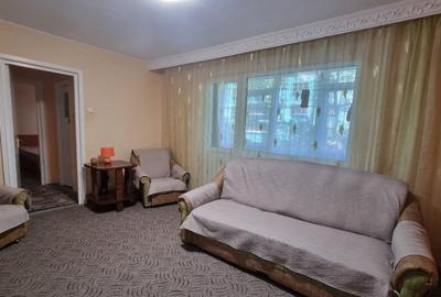 Apartament 2 camere Tatarasi Pet Friendly - 8