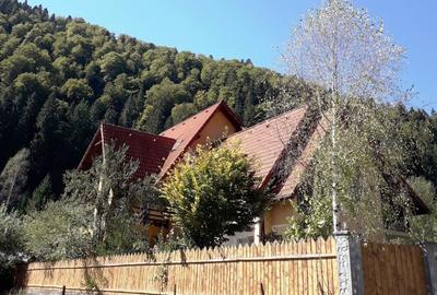 Voineasa, Valcea, vila 13 camere, altitudine 700 m - 2