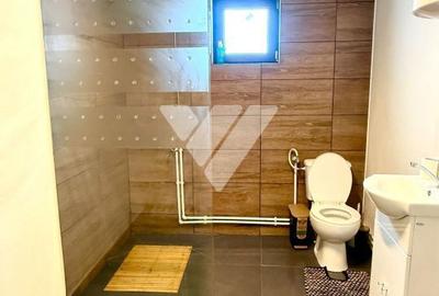 Casă cu 3 camere cu Teren 300 Mp în Sadu - 4