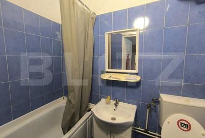 Garsonieră semidecomandată în Noua - 5