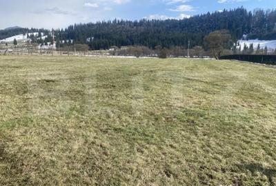 Teren de 12500 mp, în Coșna - 1