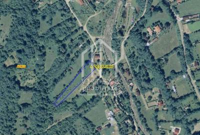 Teren de vanzare in Avrig, valea Avrigului - 3
