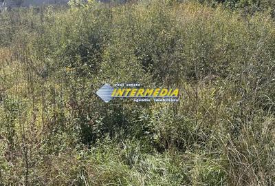 Teren intravilan I de vanzare I in Cetate I zona superba I 500 mp I - 4