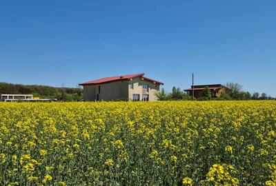 Teren Construcții intravilan de 5000 mp, în Ciolpani - 12