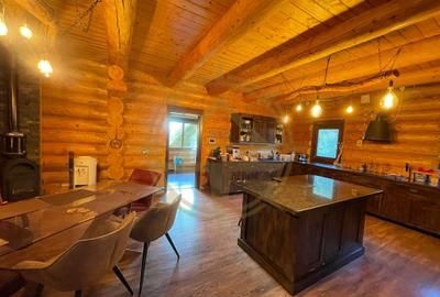 Casă cu 9 camere cu Piscina în Grădiștea - 11