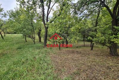 Casă în Șotrile - 3