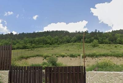 Teren de 5339 mp, în Dăbâca - 2