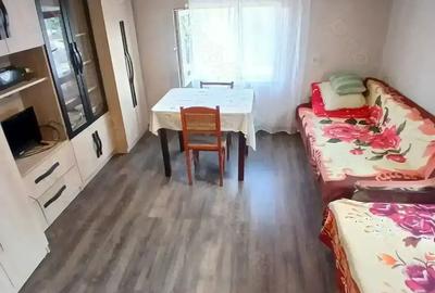 Vand casa Husasau de cris 12 km Oradea - 8