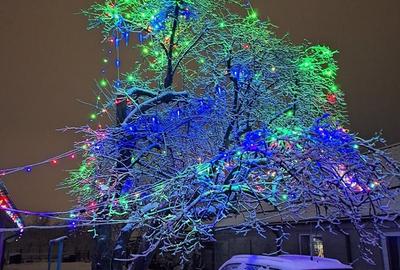 Casă cu 3 camere cu Teren 778 Mp în Central - 3