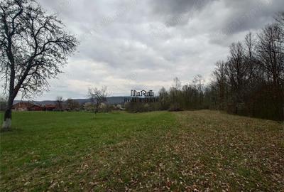 Teren de 9370 mp, în Țebea - 6