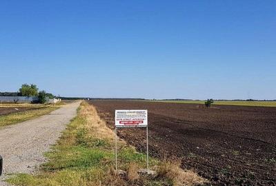 Teren Construcții intravilan de 30700 mp, în Brănești - 3