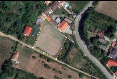 Teren Intravilan 2000 mp spre vanzare in Tocile - 2