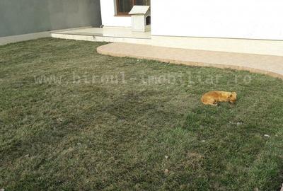 Casă cu 5 camere în Eforie Nord