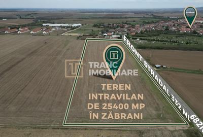 Teren intravilan de 25400 mp, în Zăbrani - 4