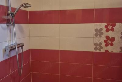 Garsonieră decomandată în Ciorogârla - 3