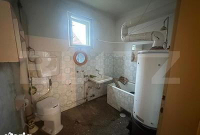 Casă cu 4 camere cu Teren 6197 Mp în Micula - 17
