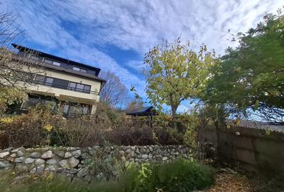 Daesti, jud. Valcea - 18