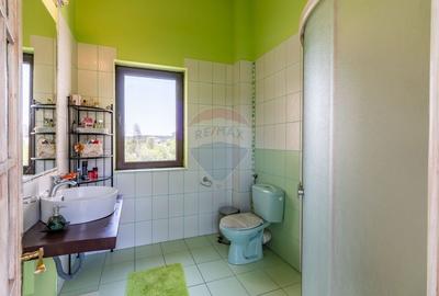 Vilă de vanzare Laguna Albastra Corbeanca I 5 camere I 1000 mp curte - 19