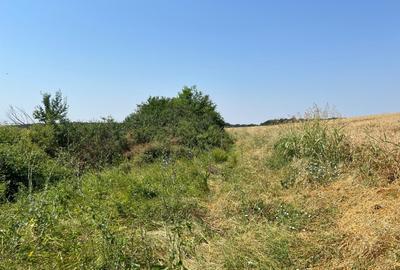 Ciolpani -Ilfov - teren 4000 mp - 5