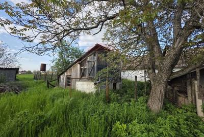 Casă individuală cu 4 camere cu Teren 2880 Mp în Giulvăz - 13