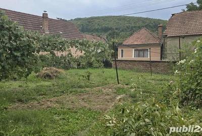 Casă cu 4 camere în Teliu - 1