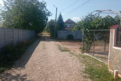 100Omp, Clinceni, Str Rozelor - 6