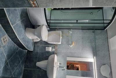 Apartament cu 3 camere semidecomandat, mobilat în Kogălniceanu - 6