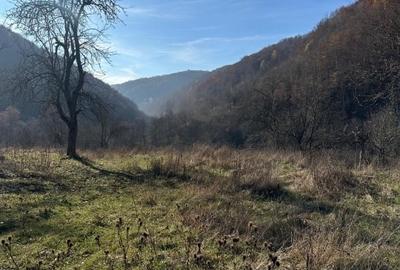 Domeniu de vinzare - 2