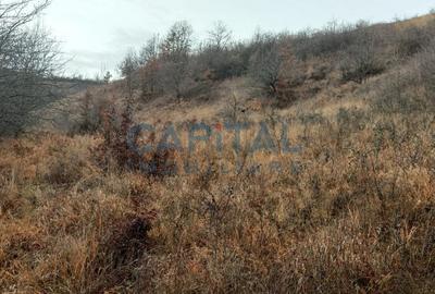 Teren Construcții extravilan de 2400 mp, în Săvădisla - 9