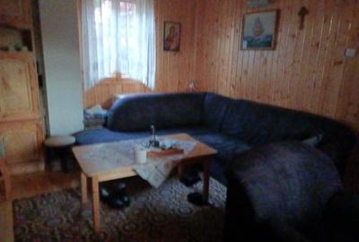 CASA DE VACANTA LA DOMENIUL SCHIABIL SUREANU LUNCILE PRIGOANEI - 5