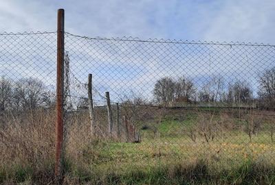 Teren Construcții intravilan de 9123 mp, în Vălenii de Munte - 10