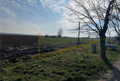 Teren Construcții intravilan de 5985 mp, în Nojorid - 7