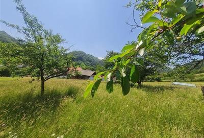 View superb:intravilan,constructie rezidenta/hotel, 2.327 mp,Moieciu de Jos, Bra - 22