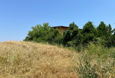 Ciolpani -Ilfov - teren 4000 mp - 2