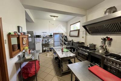 Restaurant cu terasa, mobilat si utilat de inchiriat, Aradului. - 9