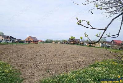 Teren de 1683 mp, în Lunca Calnicului - 8