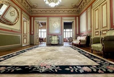 Imobil Istoric Bucureștiului  de vanzare- Vila Mathilda - 18