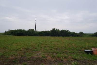 Teren de 600 mp, în Lucian Blaga - 6