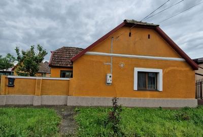 Becicherecu Mic, Timis - 2