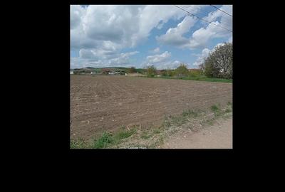 Vanzare teren intravilan - 2