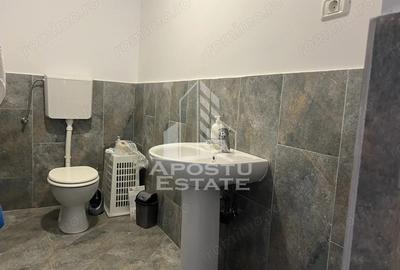 Casă cu 5 camere cu Canalizare în Sânandrei - 8