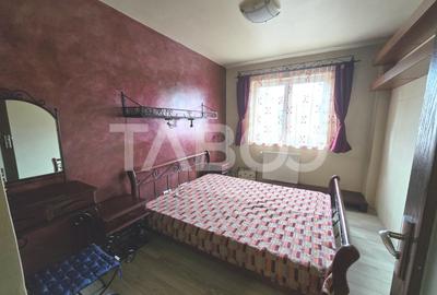 Apartament cu 2 camere decomandat, mobilat în Terezian - 4