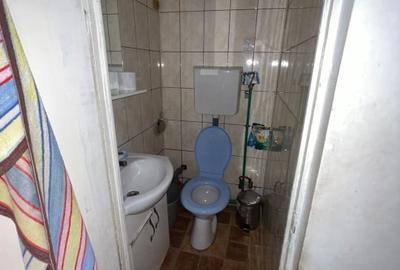 Casă individuală cu 10 camere cu Canalizare în Timpuri Noi - 10