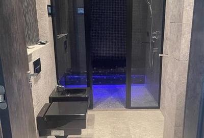 Penthouse cu 7 camere decomandat în Tei - 15