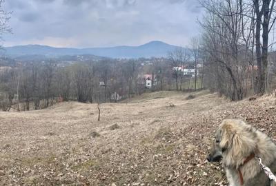 Teren de 3169 mp, în Talea - 3