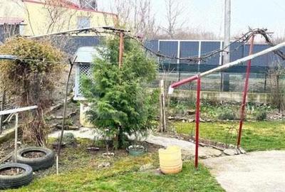 Casă cu 4 camere cu Teren 4600 Mp în Siret - 11