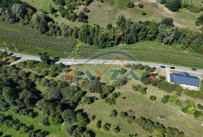 Vanzare teren, intravilan 1067 mp, localitatea Grosi - Maramureș - 6