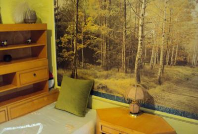 Apartament cu 2 camere decomandat în Exercițiu - 2
